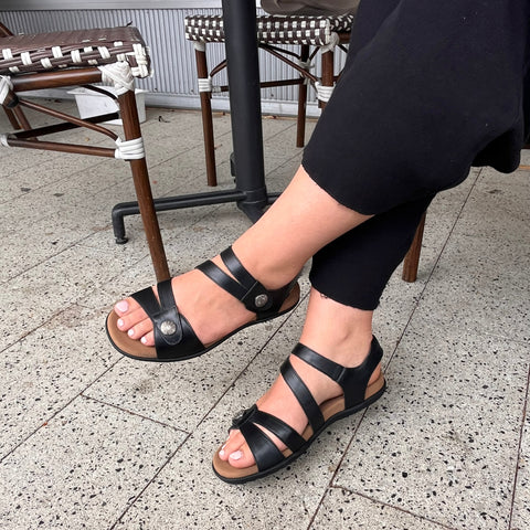 Tango's Harry available in 5 colours