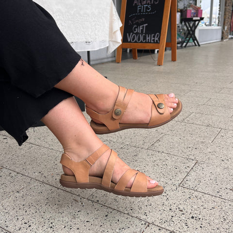 Tango's Harry available in 3 colours